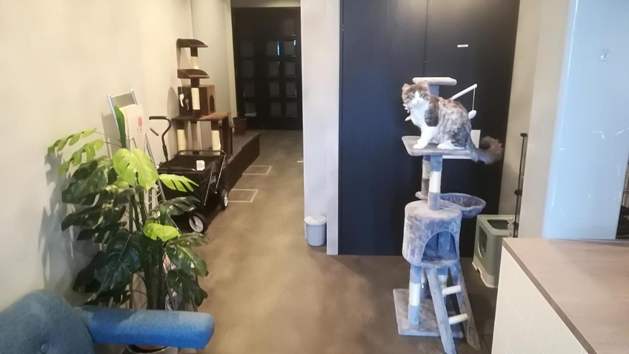 Cote Sakuragawa "Room 201,301,401" - Vacation Stay 03144V Osaka Exterior photo